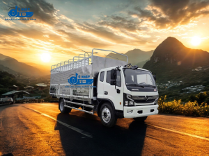góc nghiêng phải dongvang 800