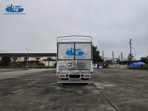 sau lưng dongvang 800