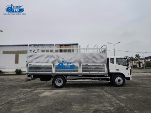 toàn cảnh dongvang 800